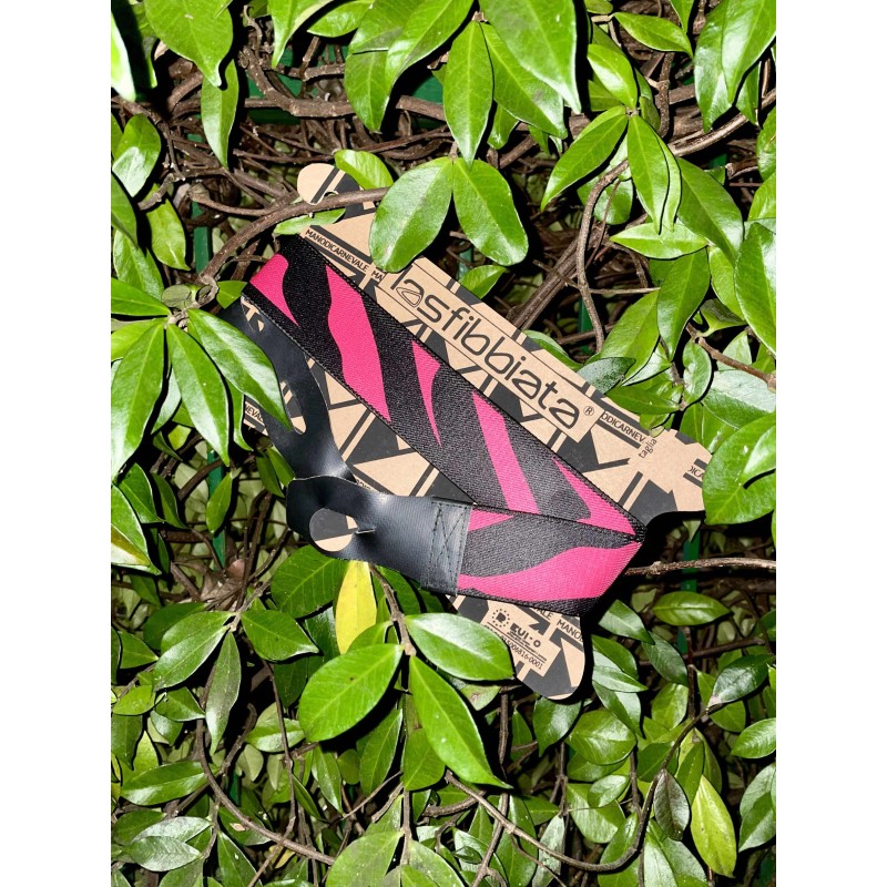 Zebra fuksia