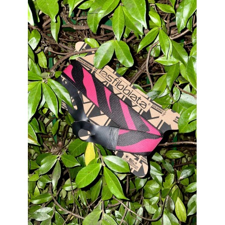 Zebra fuksia